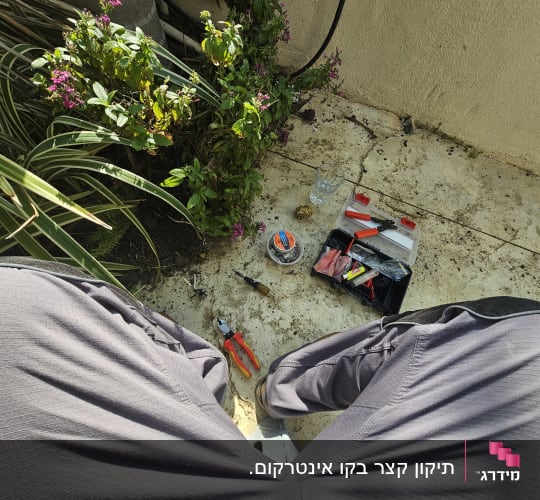 כלי עבודה וחוטים על הרצפה ליד צמחים